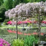 The James Irvine Japanese Garden