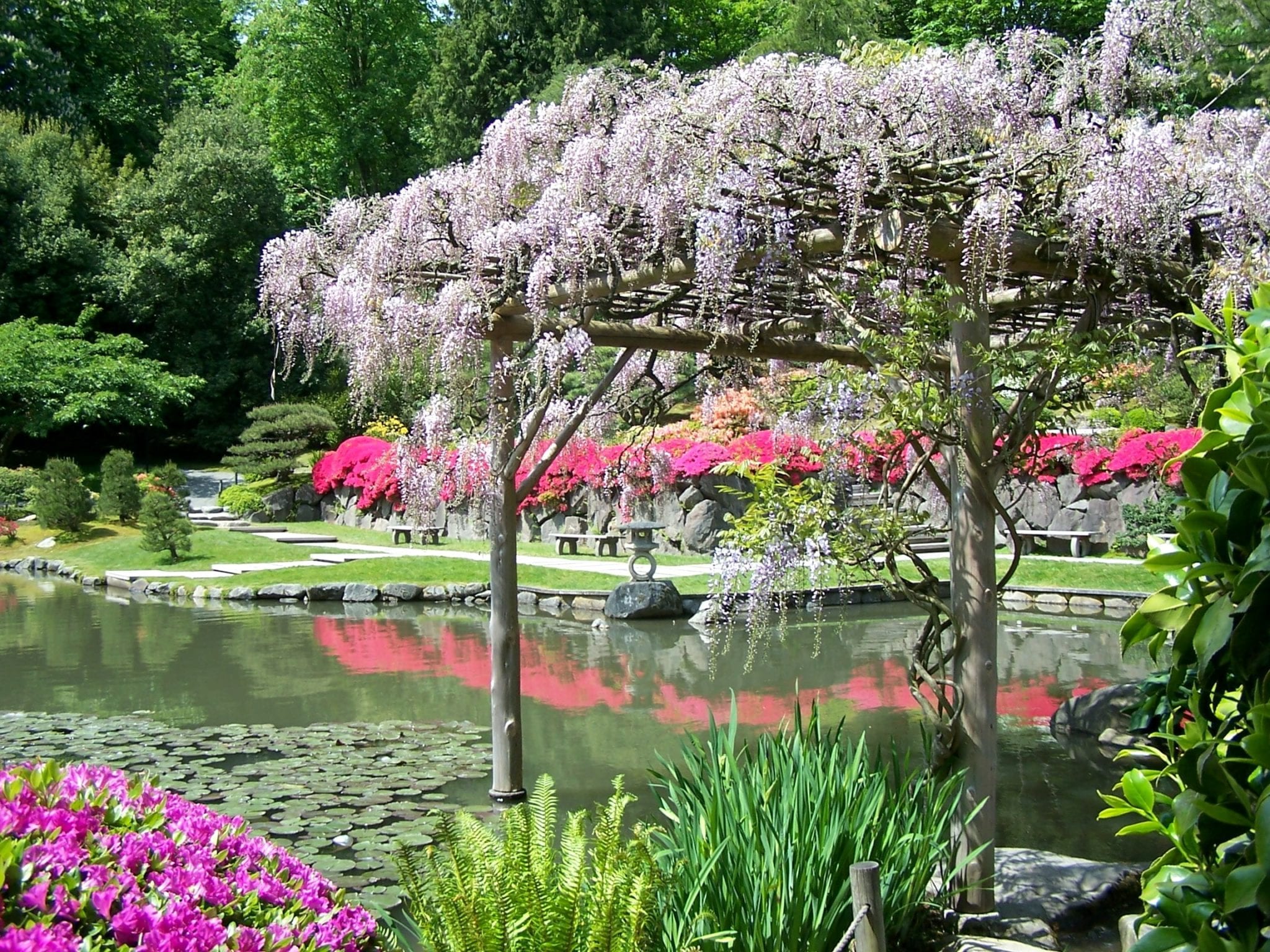 The James Irvine Japanese Garden